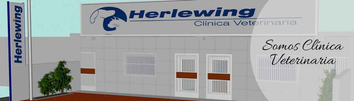 clinica veterinaria