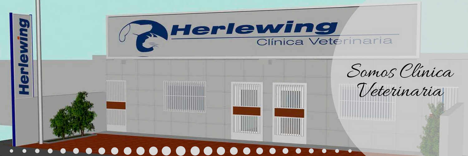 clinica veterinaria